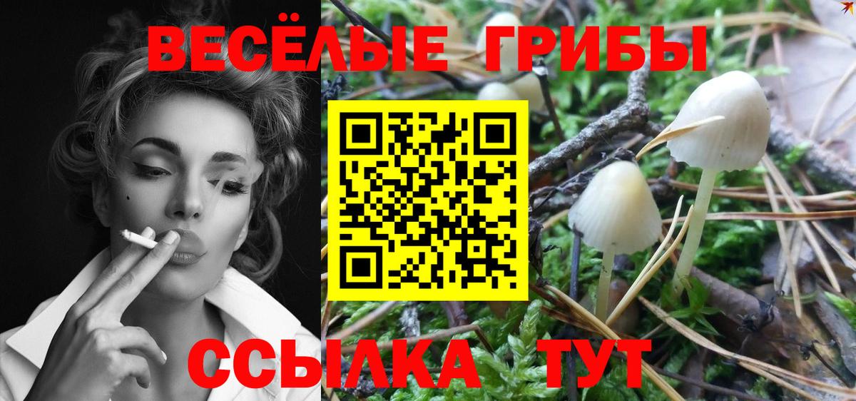 Псилоцибиновые грибы мухоморы  Вход с VPN  Галлюциногенные грибы GOLDEN TEACHER  Йошкар-Ола 